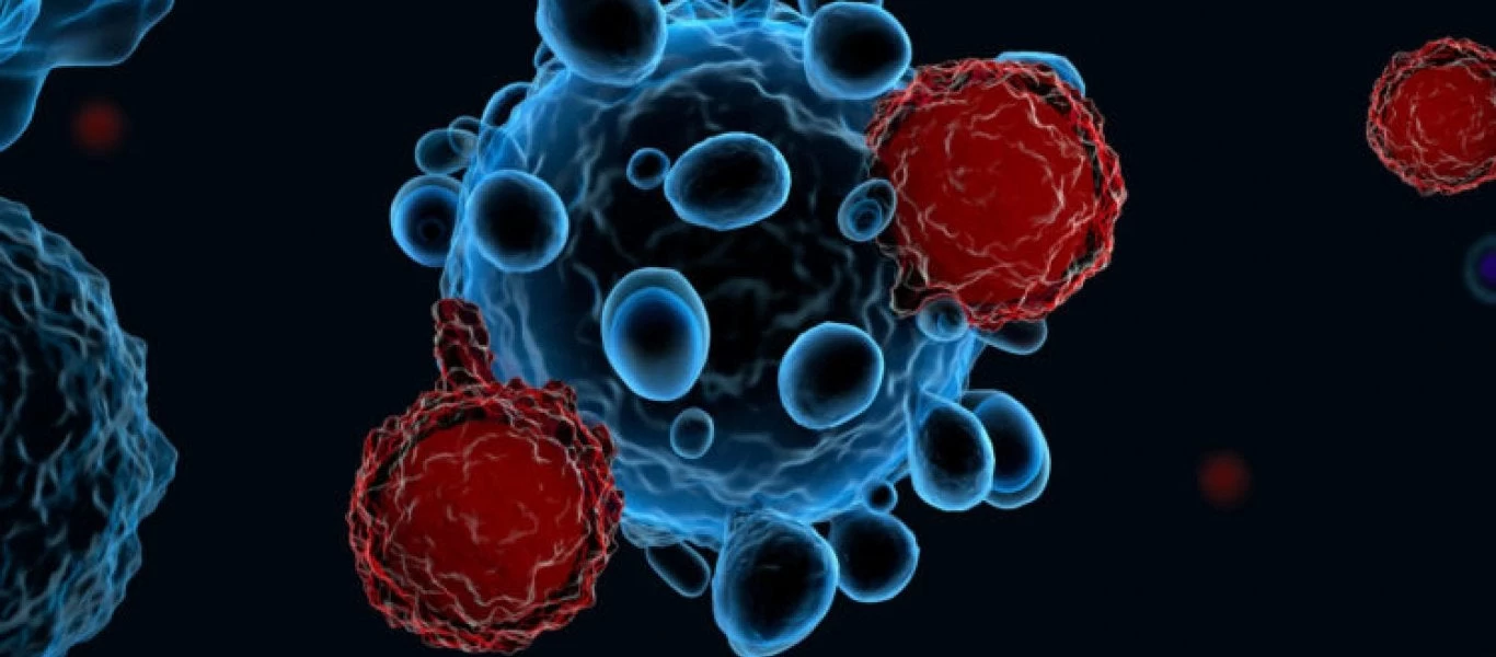 Αυτή είναι η «αχίλλειος πτέρνα» του καρκίνου – Σε ποια λαχανικά βρίσκεται το πολύτιμο συστατικό